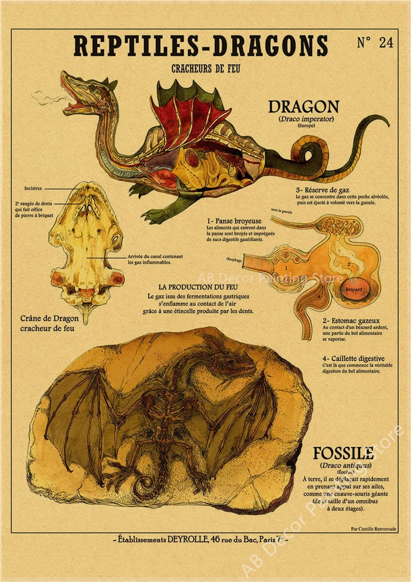 Affiche murale "Curieuse créatures"