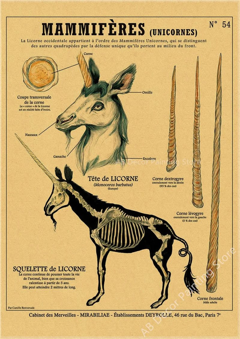 Affiche murale "Curieuse créatures"