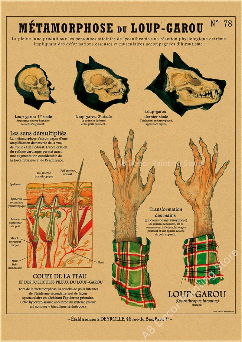 Affiche murale "Curieuse créatures"