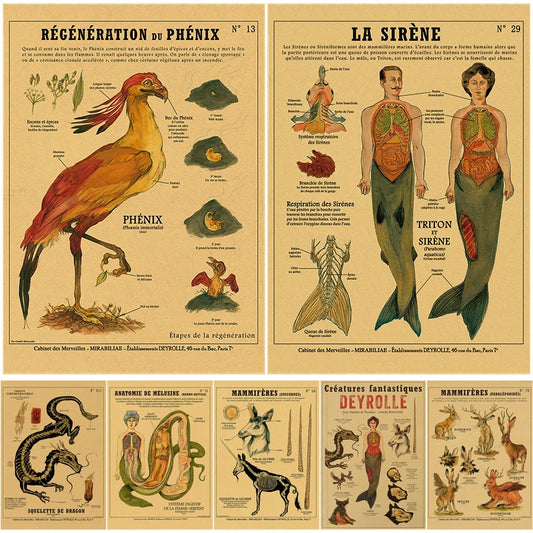 Affiche murale "Curieuse créatures"